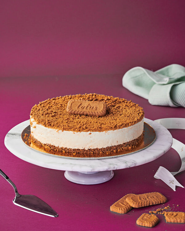 Gelato Cake Lotus	  لوتس