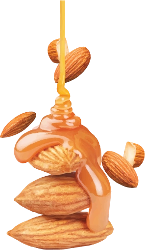 Carmalized Almond