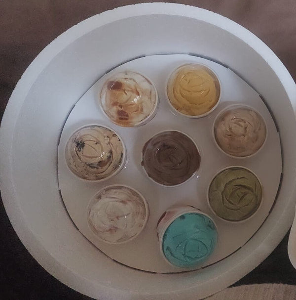 Gelato 8 scoops in one Box